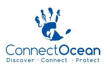 Connect-Ocean-CR-Logo Guardavidas-Playa-Grande